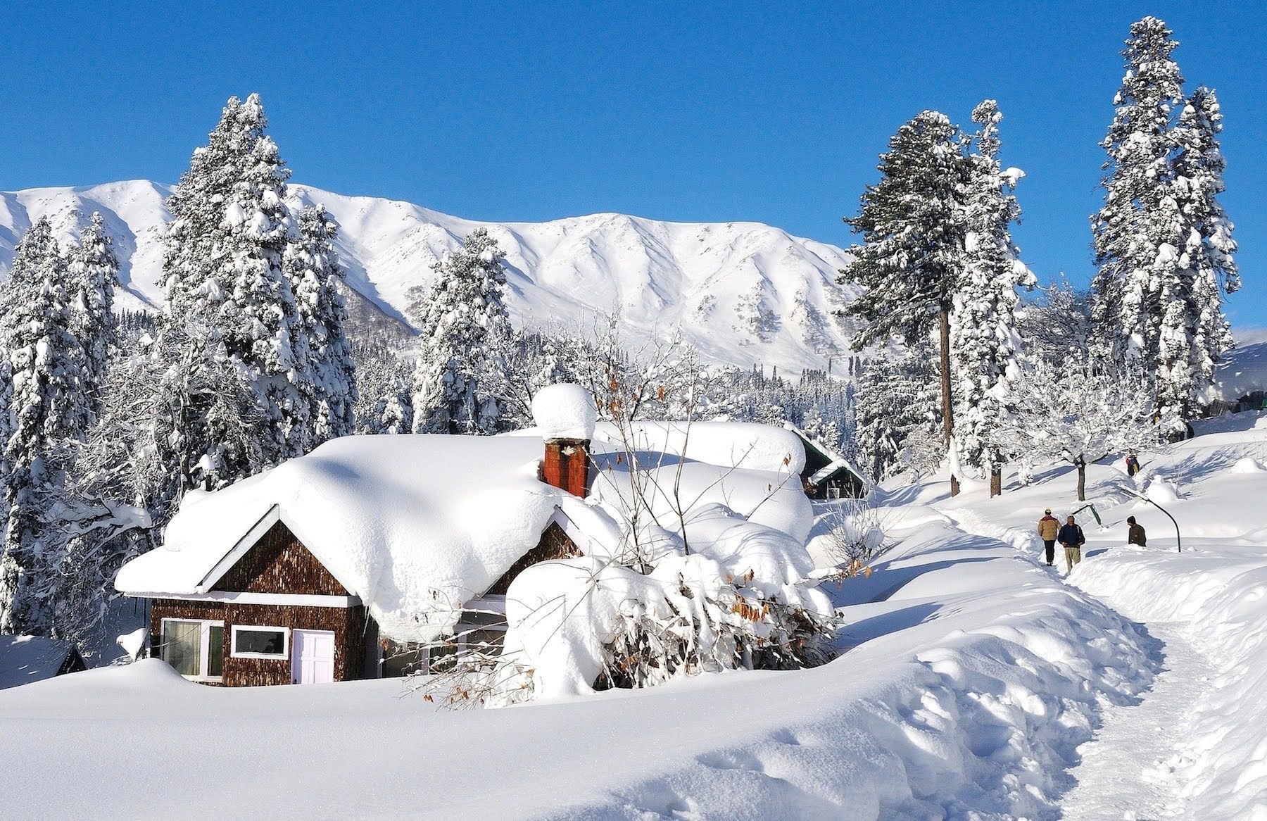 Comfort - All-Inclusive Ski Packages -  Gulmarg